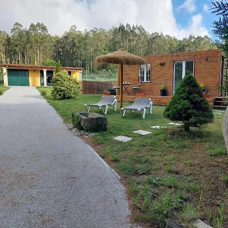 A Gandrina 2 Ponte Do Porto